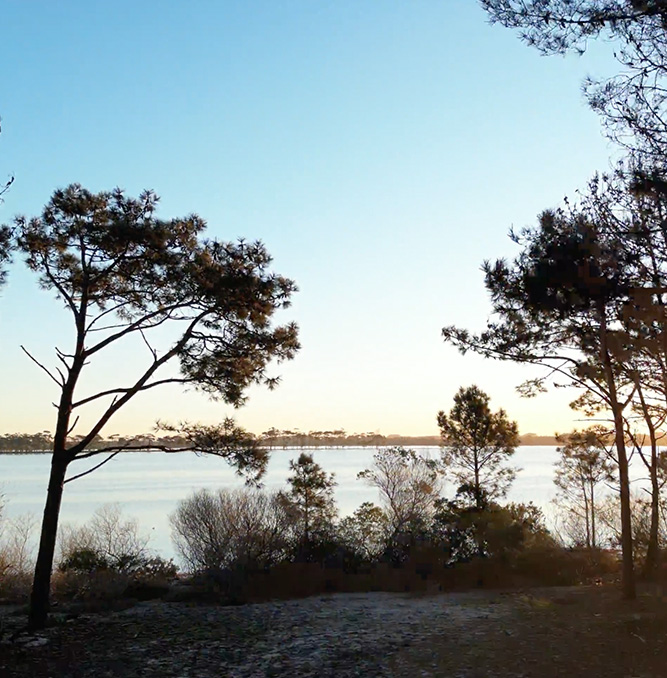 - Mare